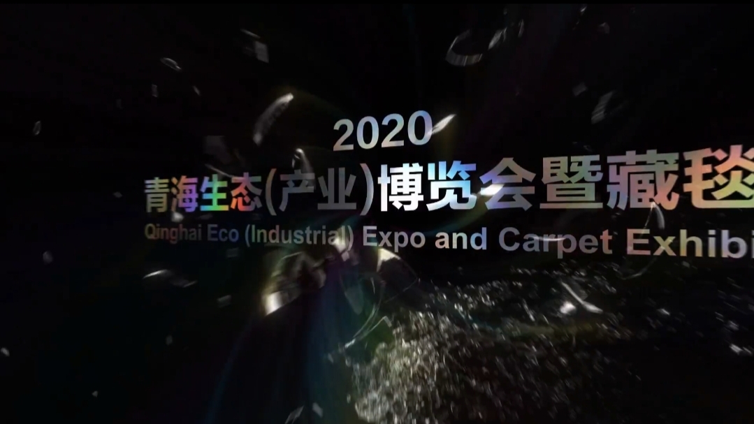 2020年青海生态（产业）博览会暨藏毯展国内外精品地毯展销博览会